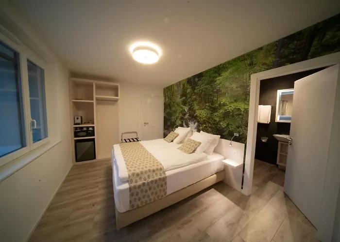 De La Concorde - Self Check-in Hotel Vallorbe